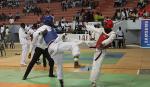 세네갈 '한국대사배 태권도 대회' 열기 뿜어
